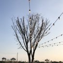 카페오기 - 금천구 독산로58나길 48 | 카페오기
