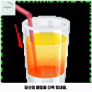 탑마을주공8단지.중앙도서관 | 도촌동 애견카페 올리브펫 가격 및 후기 추천 리뷰 주차 예약 알아볼까요
