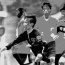 태장초교 이미지