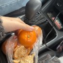 황해목장 이미지