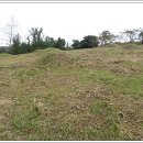 정유재란순절묘역 이미지