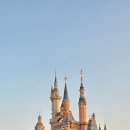 복단식당 | 🍂 상하이 11월 여행 완벽 가이드 2025 - 단풍 절정 시기 날씨부터 명소까지 총정리!