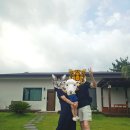 고망돌담 이미지