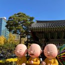 연신종로약국 | 2년만에 ‘조계사 국화축제’ 다녀왔어요