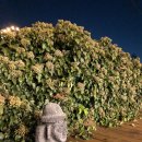 모살개 렌트하우스 이미지