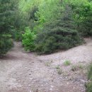 파평산농장 | 파주 광평산 산행기...경기도 파주시(262m)