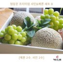 샤인클