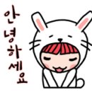 참빗결