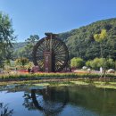 ﻿왕년의 그와 함박산 옥련지(玉蓮池) &#39;나팔꽃 인생&#39;~,,,/ 생 이미지