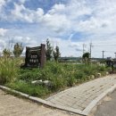 국가유산 체험학습지도사 이미지