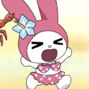 댕데이지 | 제주