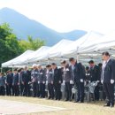태백 11 강원일보
