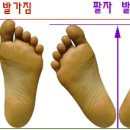 엠에스존 이미지