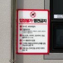 댕댕놀이터 | 경남 김해 애견놀이터 댕댕파크 솔직후기