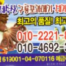 쌍둥이네수산