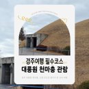 애터미 경주실크로드센터 | 경주여행 필수 코스, 대릉원 천마총 관람 후기