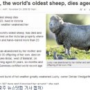 럭키농장 이미지