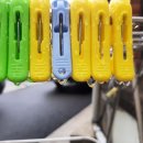 공치는날 이미지