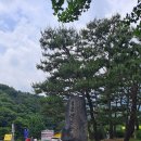 용문산관광단지와 들꽃수목원 그리고 남한강을 가다 이미지