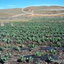 동그라미농장 이미지