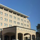 강서구청 본관 | 국내 l 19개월 아기랑 베베핀 메이키즈 해피 in 메이필드호텔 [피크닉룸]