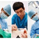 서울제이플란트치과의원 이미지