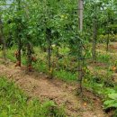 해동검도 합기도 이미지