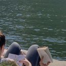 새빛안경 이미지