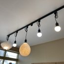 로얄페이퍼하우스 이미지