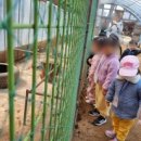 고양시립슬기로운어린이집