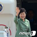 피朴