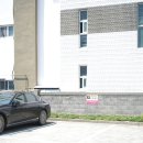 제주항칼치 | 제주공항 근처 갈치조림 맛집 실패없는 곳 칼치집