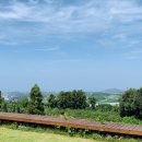 다다목장 이미지