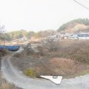 금산농장 이미지