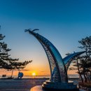 장사솔밭펜션 | 영덕 장사해수욕장 펜션 장사솔밭펜션 후기!