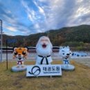 단국대스타태권도 이미지