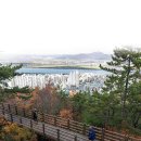 동막동(4) 이미지