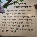 코알라포차 네이버블로그