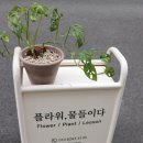 플라워물들이다 이미지
