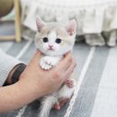 그루밍 플래너 이미지