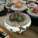 세빈농장 이미지