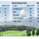 전국 골프장 홀인원 현황 이미지