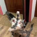 고속터미널역 7호선 이미지