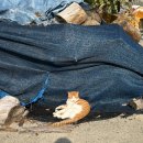 강원애니팜 | October