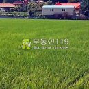 상리농장 이미지