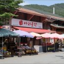 수아리