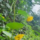 구룡포화장장 이미지