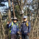 설창 이미지