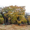 당암주유소 이미지