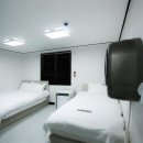 스테이안 이미지